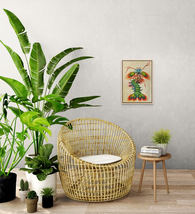 Anatomía del Impacto. Violencia y precisión envueltas en un espectro cromático.